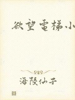 欲望电梯小说