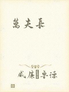 万夫长封面