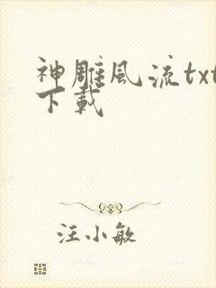 神雕风流txt下载