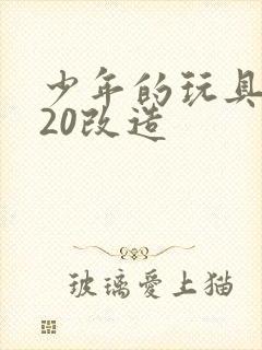 少年的玩具1一20改造