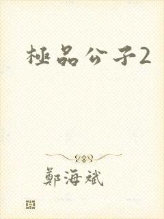 极品公子2封面