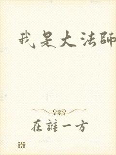 我是大法师封面