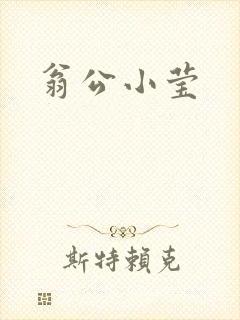 翁公小莹
