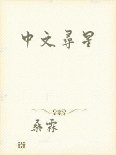 中文寻星封面