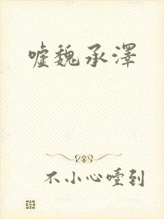 嘘魏承泽封面
