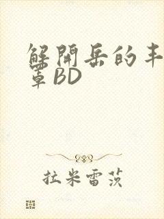 解开岳的丰满奶罩BD