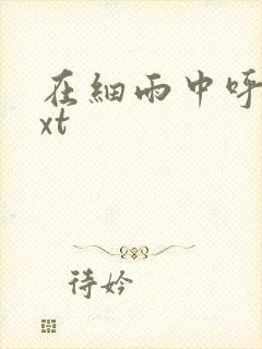 在细雨中呼喊txt