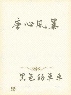 唐心风暴封面