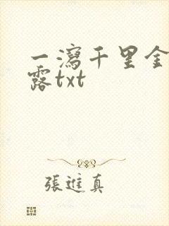 一泻千里金银花露txt封面