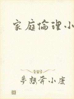 家庭伦理小说封面