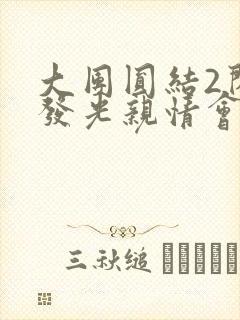 大团圆结2闪闪发光亲情会