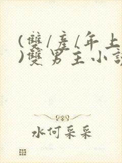 (双/产/年上)双男主小说