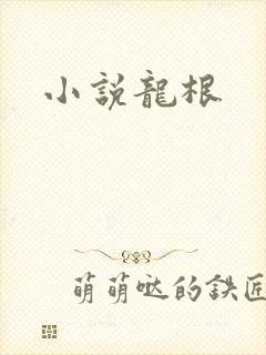 小说龙根封面