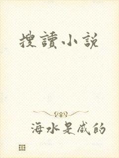搜读小说