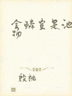 金鳞岂是池中之物封面