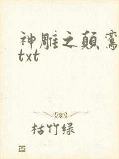 神雕之颠鸾倒凤txt