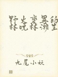 野火变异的父爱林晚林潮生