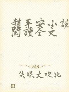 赵平安小说免费阅读全文封面