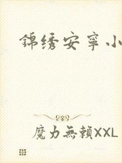 锦绣安宁小说