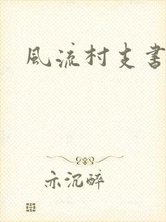 风流村支书封面