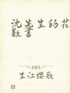 沈先生的花式调数书