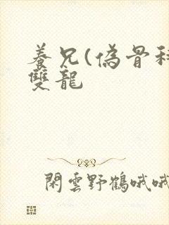 养兄(伪骨科)双龙封面