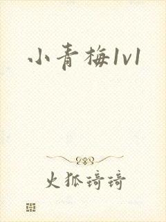 小青梅1v1