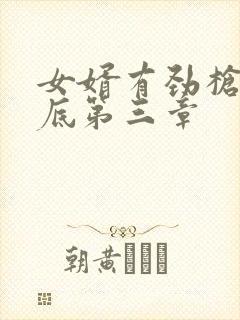 女婿有劲枪枪到底第三章