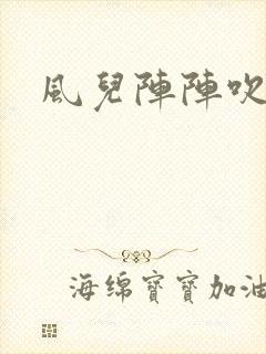 风儿阵阵吹封面