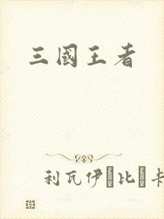三国王者
