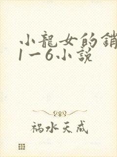 小龙女的销魂夜1一6小说