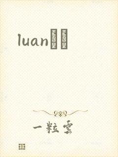 luanС˵封面