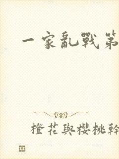 一家乱战第5部