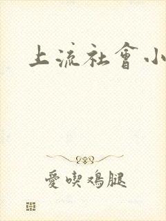 上流社会小说