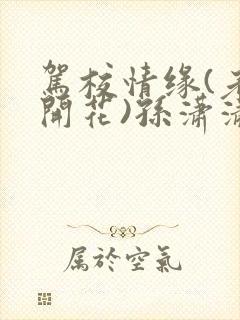 驾校情缘(老树开花)孙潇潇笔趣阁