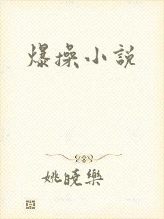 爆操小说