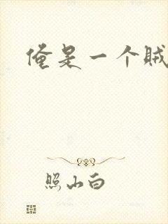 俺是一个贼