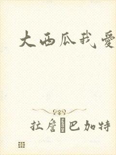 大西瓜我爱你封面