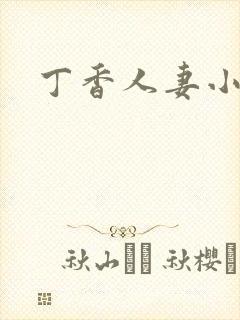 丁香人妻小说封面