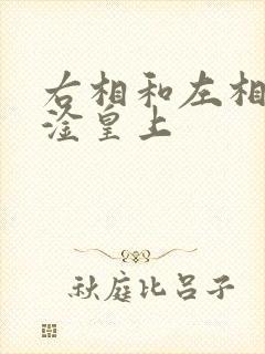 右相和左相一起淦皇上