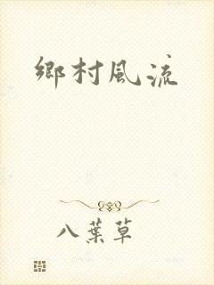 乡村风流封面