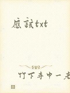 应该txt