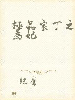 极品家丁之册母为妃