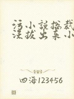 污小说总裁整夜没拔出来小说在线阅读