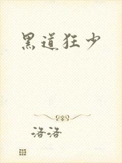 黑道狂少封面