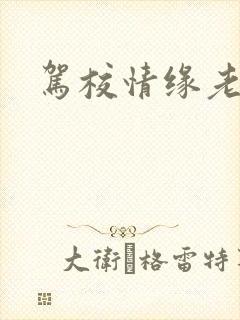 驾校情缘老赵