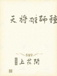 天将雄师种子封面