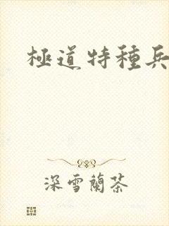 极道特种兵
