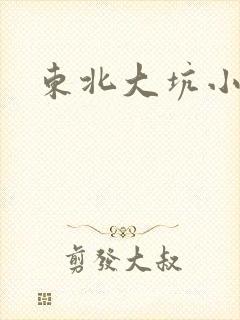 东北大坑小说