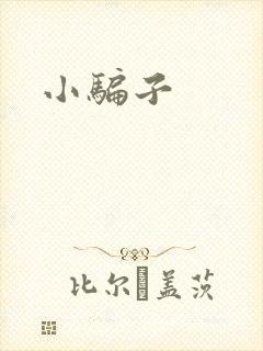 小骗子